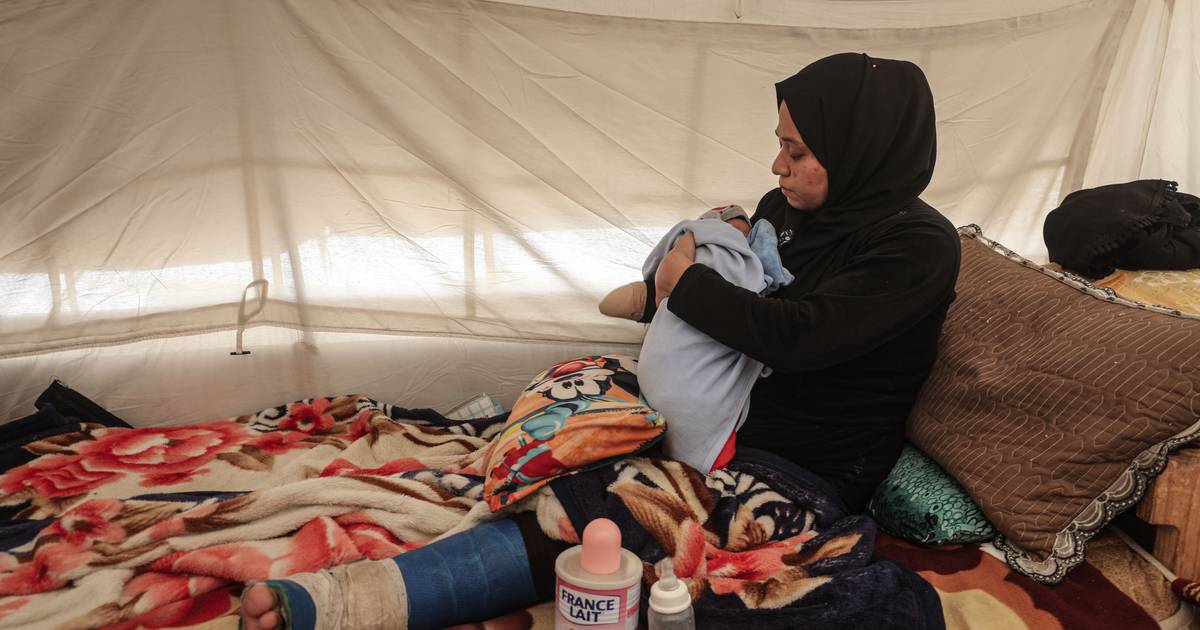 Crise humanitária em Gaza teve efeito devastador nas mulheres grávidas e lactantes
