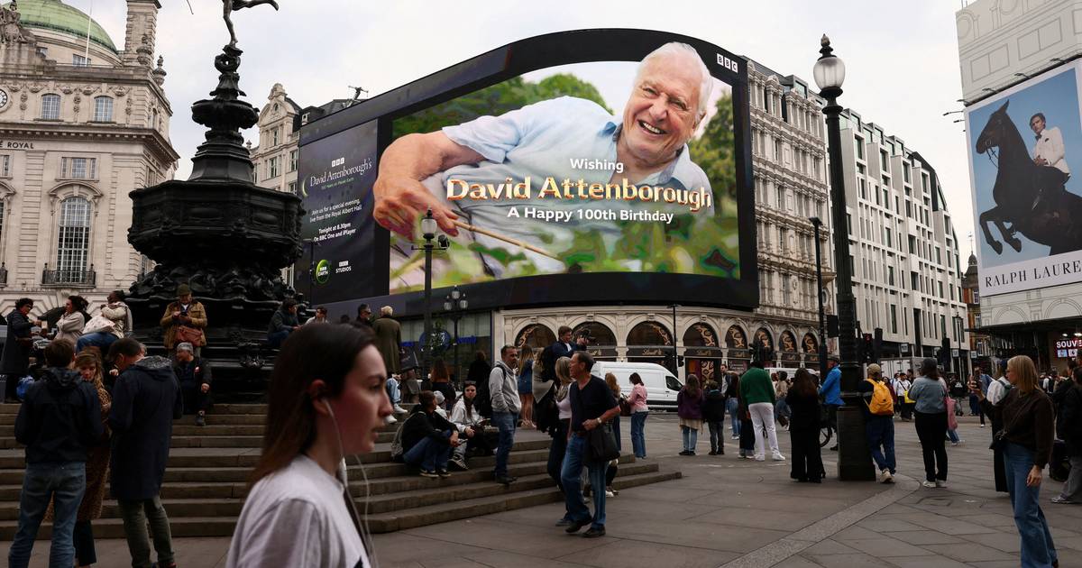 Aos 100 anos, David Attenborough recebeu uma carta especial do Rei Carlos III