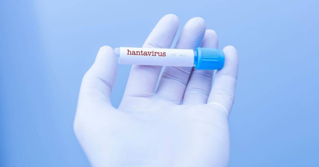 Hantavírus: apesar de risco 