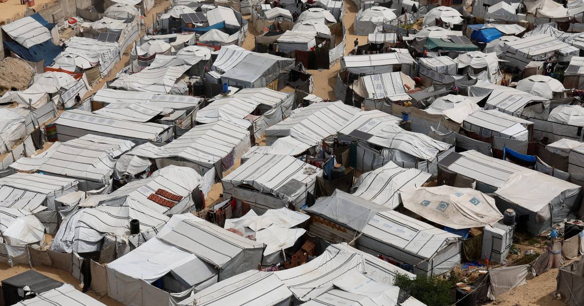 Pragas de ratos e insetos alastram em campos de deslocados sobrelotados em Gaza