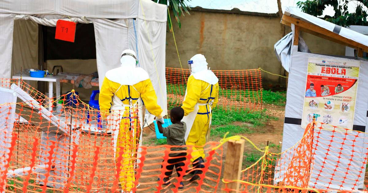 Nova estirpe de Ébola pode estar a circular há mais tempo do que se pensava