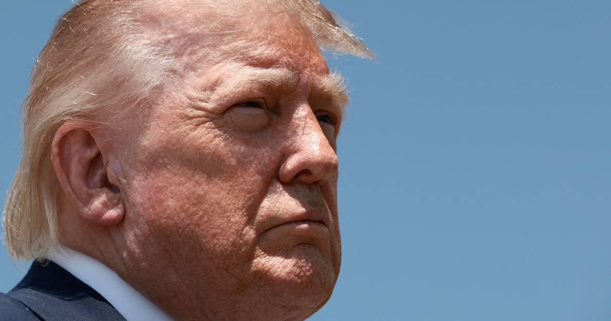 Trump diz 
