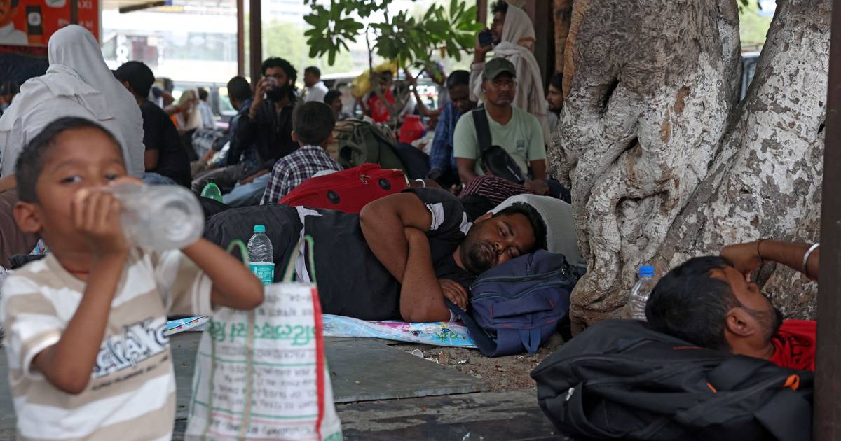 Escolas fechadas e agricultores a trabalhar à noite: calor na Índia faz disparar temperaturas acima dos 45 ºC