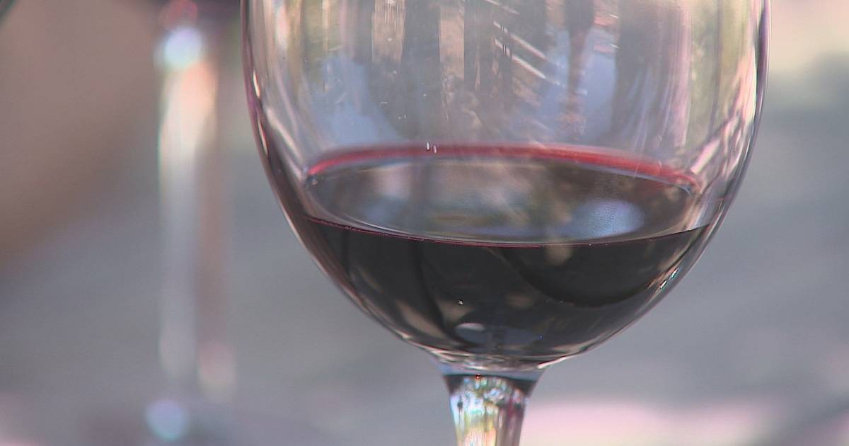 Algarve aposta na recuperação da casta negra mole e testa envelhecimento de vinho debaixo de água