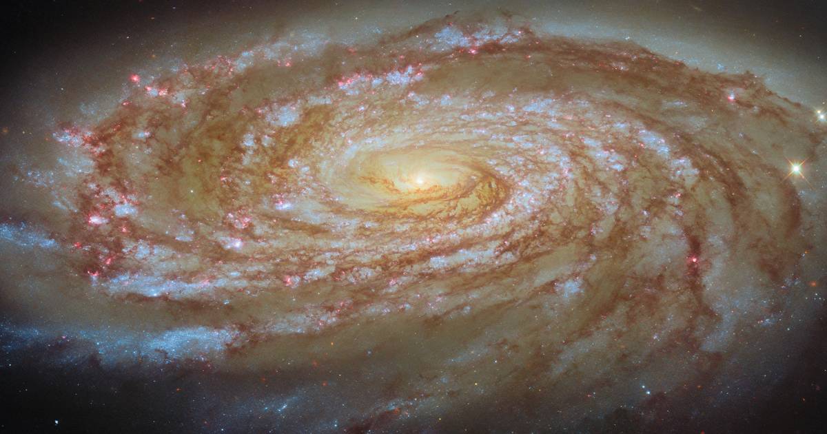 Portugiesen stecken hinter dem neuen Instrument, das Millionen von Sternen und Galaxien erkunden wird