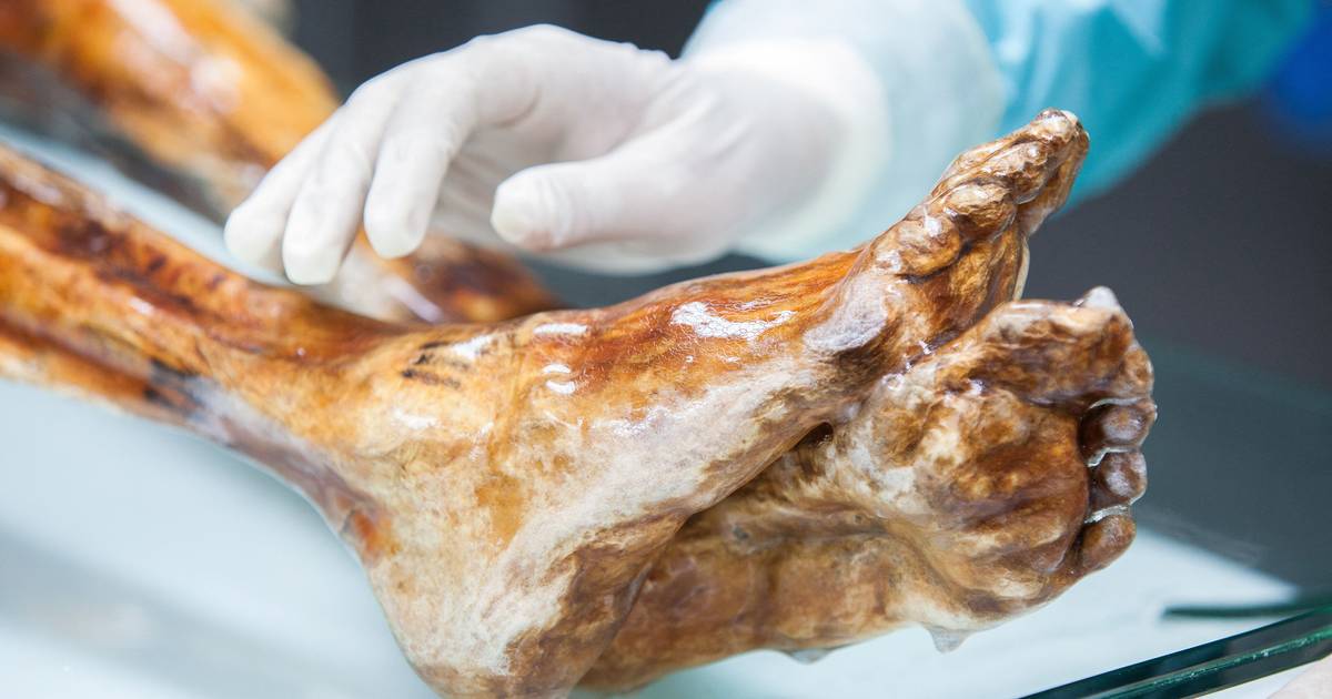 "Homem do gelo" Ötzi contém microrganismos antigos e moderno
