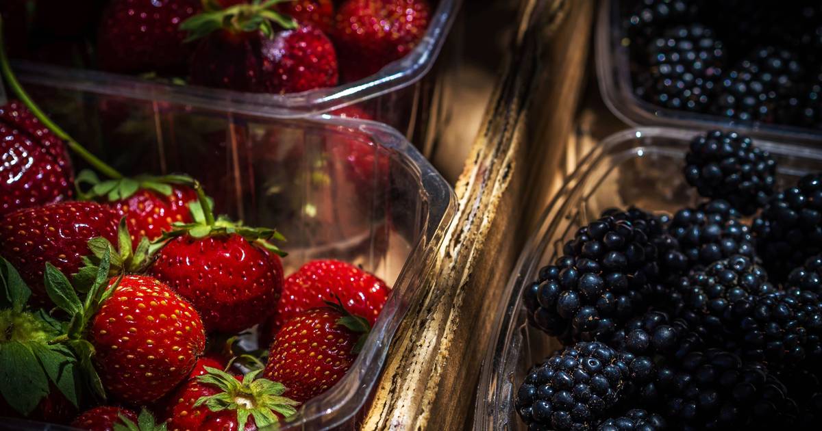 Pequenos frutos são protagonistas na Feira Nacional de Agricultura em Santarém