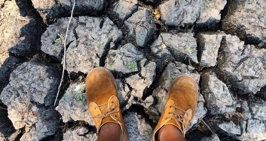 Que efeitos pode ter o El Niño em Portugal? IPMA e