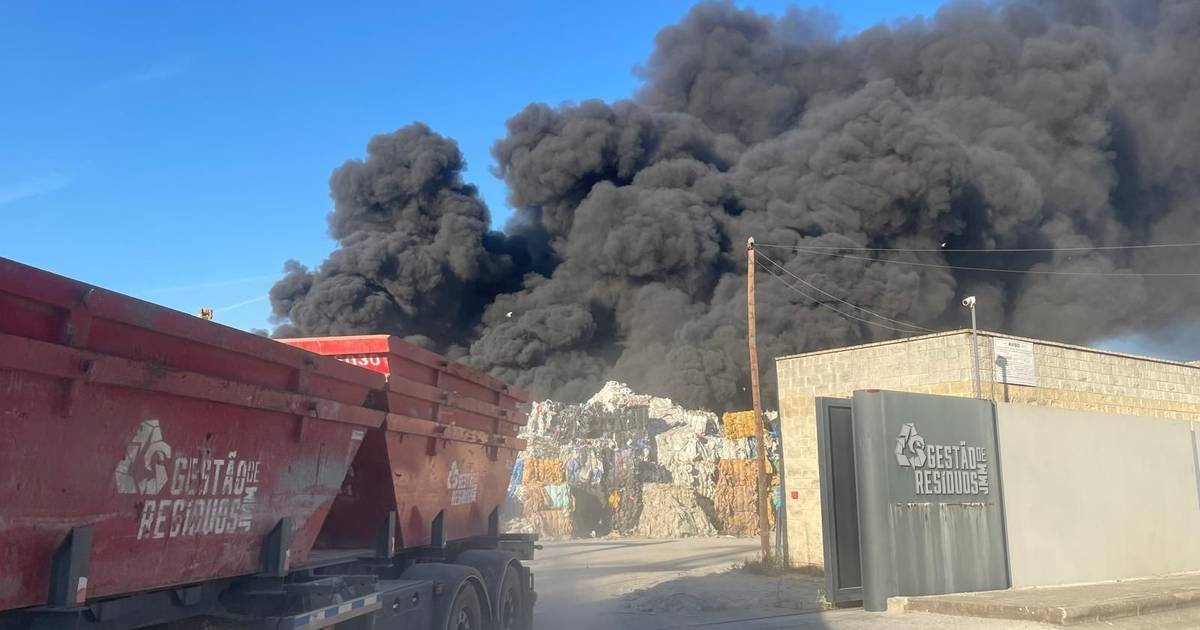 Incêndio em armazém de reciclagem em Montemor-o-Novo