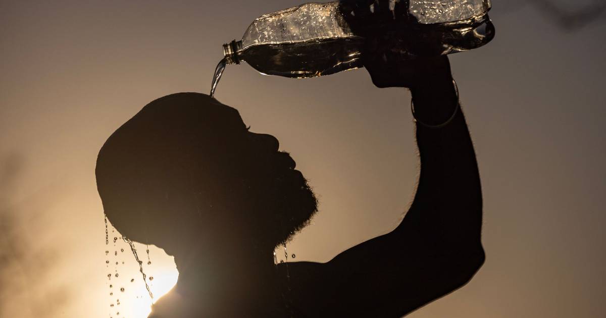 Ondata di calore fa salire a 15.800 il numero di morti in Germania e batte un nuovo record
