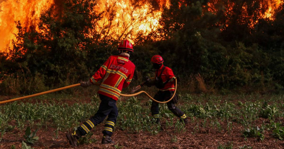 L'incendio nella Quinta de Santo António a Setúbal è stato domato