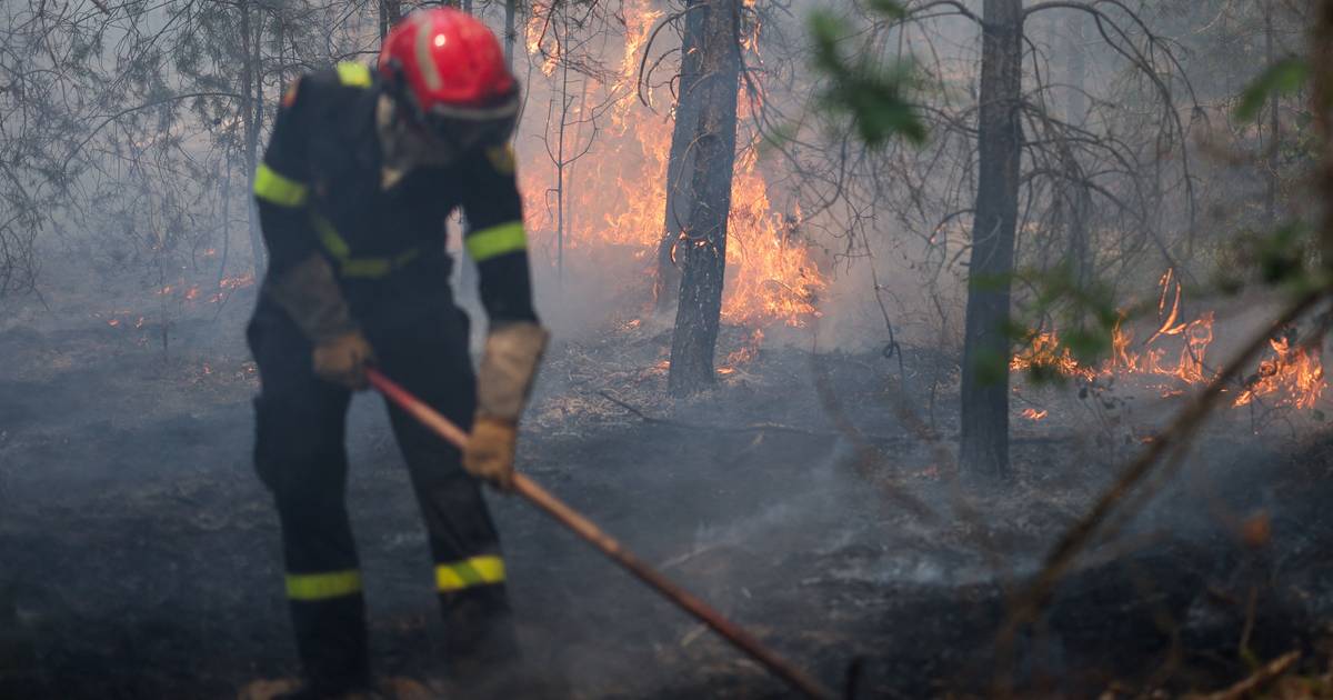 Incendi rurali di Vouzela e Valpaços ufficialmente riconosciuti come catastrofe naturale