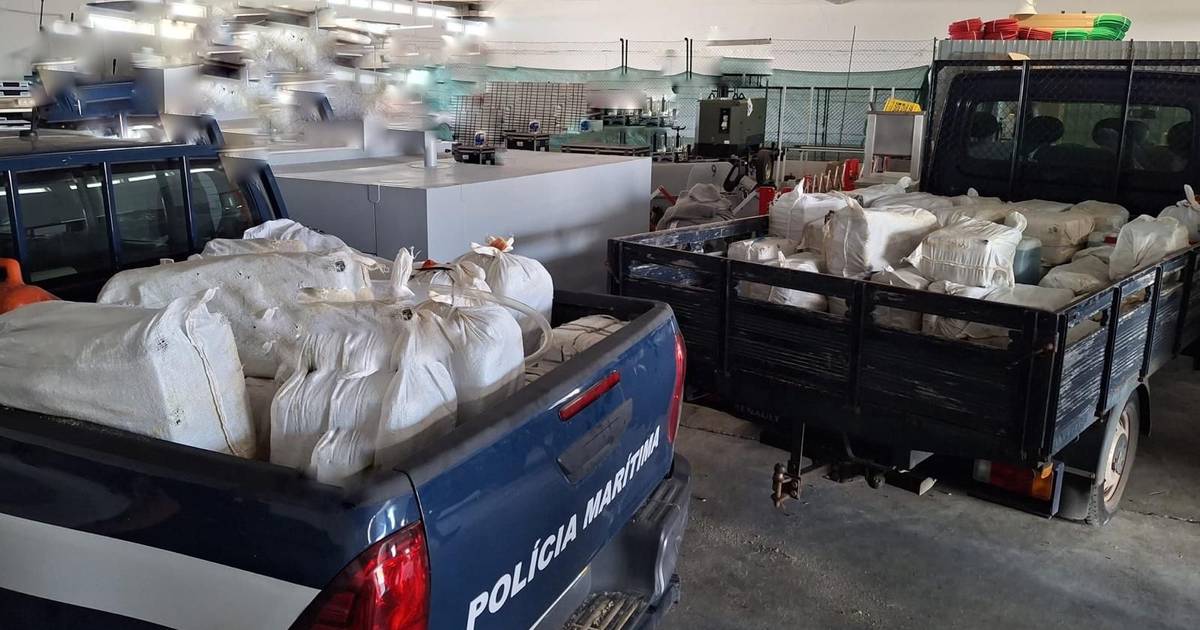La GNR sequestra circa 400 chili di cocaina in un'operazione all'Arrábida