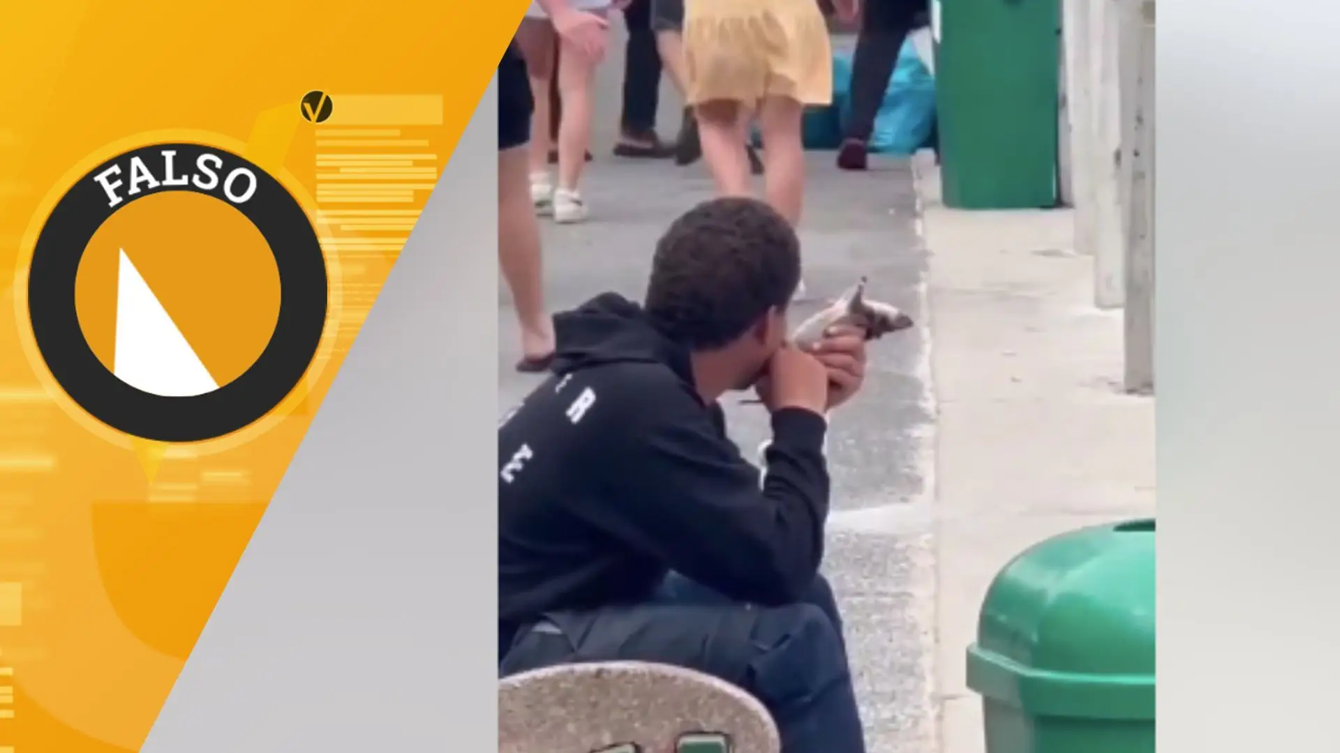 Este vídeo mostra um migrante a comer um rato num banco de jardim na Europa?