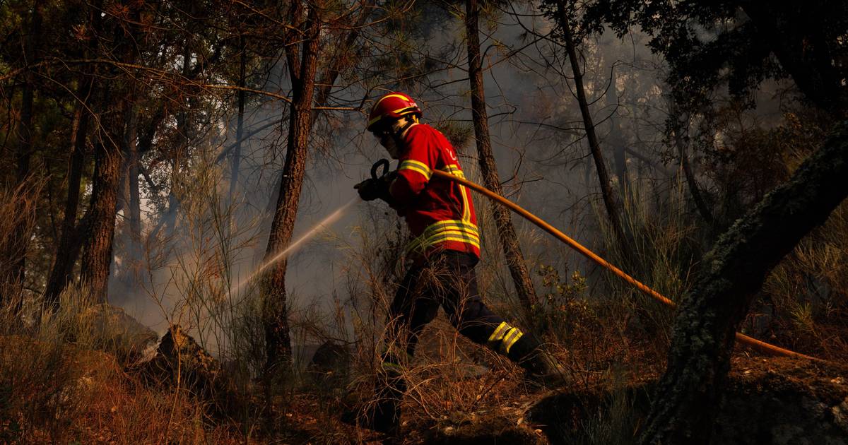 População de Carrazeda de Ansiães contesta combate ao grande incêndio e exige compensações pelos danos