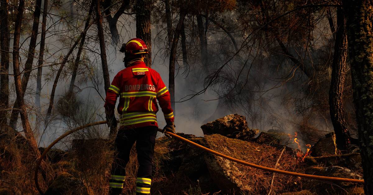 Fire in scrubland area cuts IC1 in Santiago do Cacém municipality