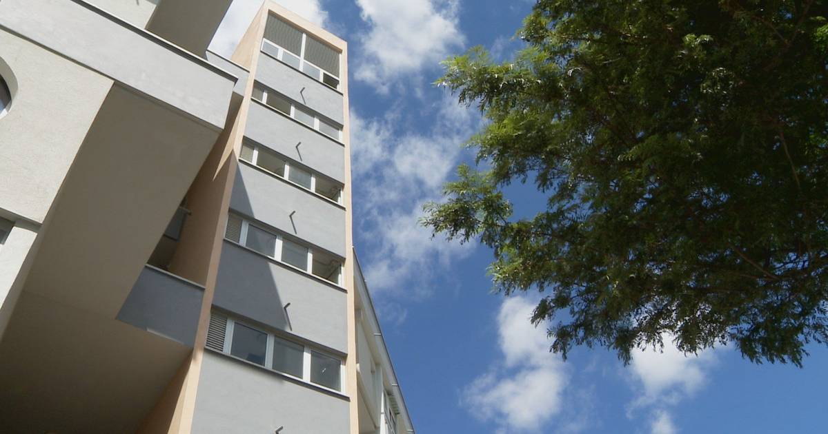 Vedova con figli minori sfrattata da casa a Lisbona non avrà diritto all'edilizia residenziale pubblica per ora
