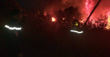 Incêndios na Argélia fazem 12 mortos e dezenas de feridos