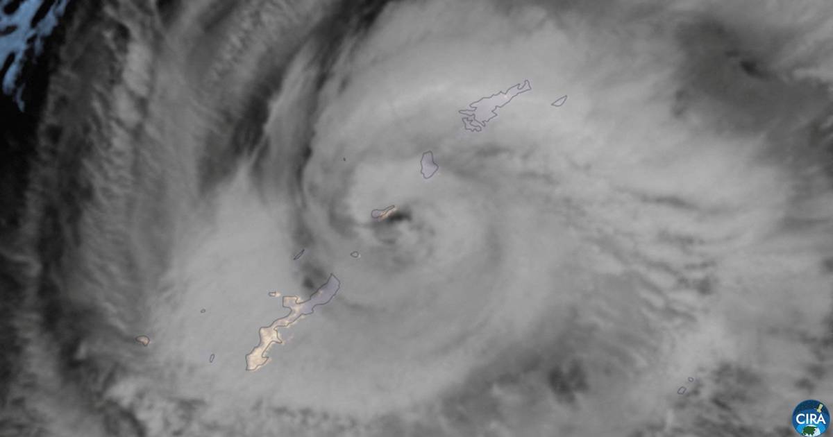 Typhoon Saudel approaches eastern China while Narra keeps intense rains in the south