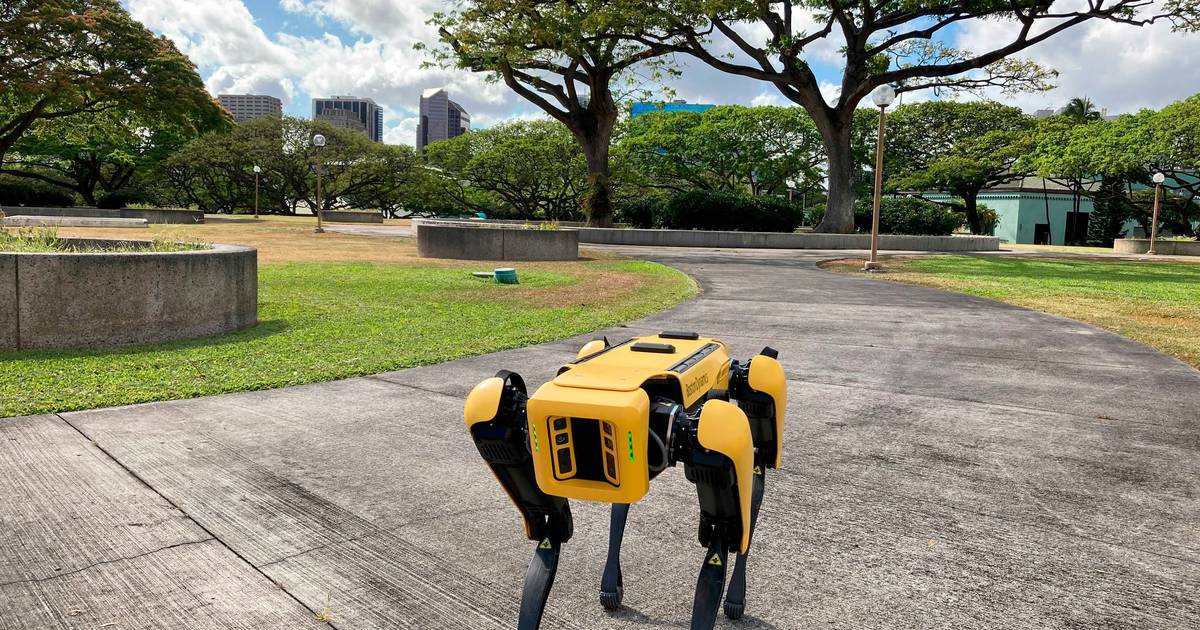 EUA planeiam usar cães-robô em operações de controlo de imigração