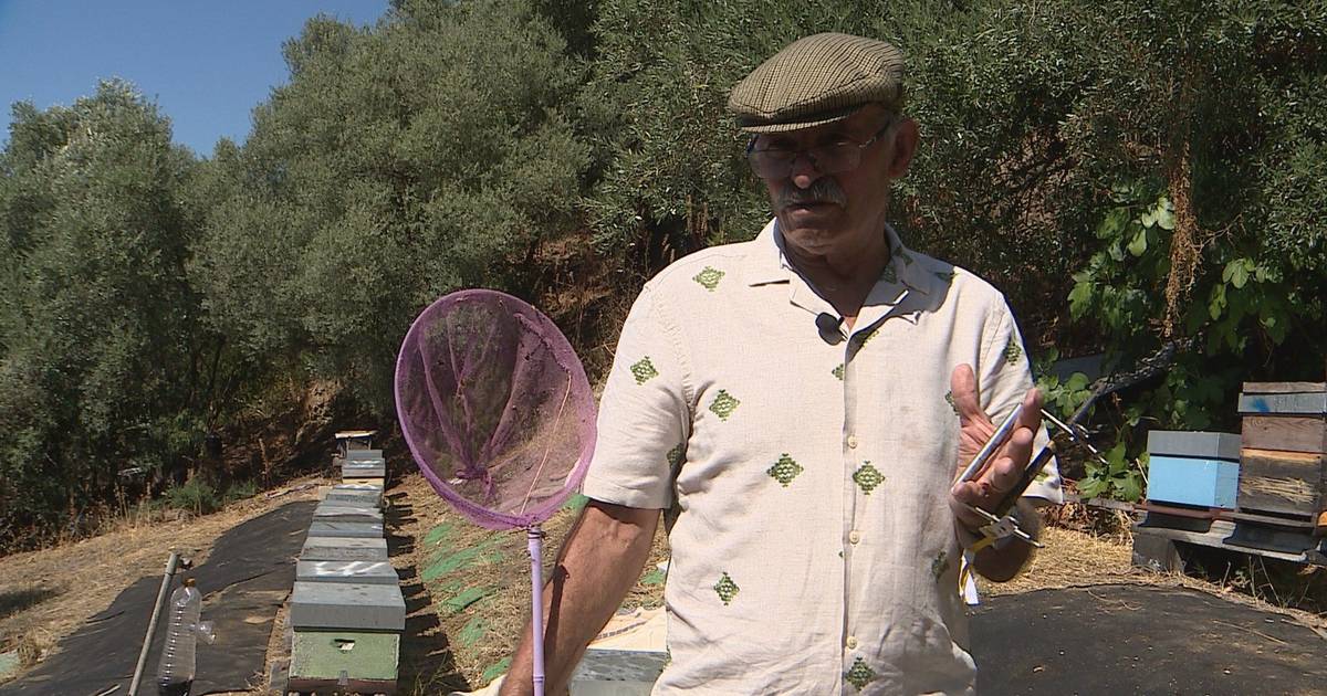 José va al Parque da Bela Vista ogni giorno per prendersi cura di 30 alveari (e approfitta per vedere alcuni concerti)