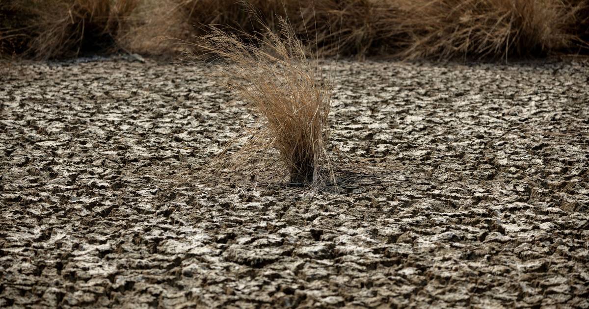 Il governo dell'Ecuador dichiara l'allarme rosso in tutto il paese a causa de El Niño