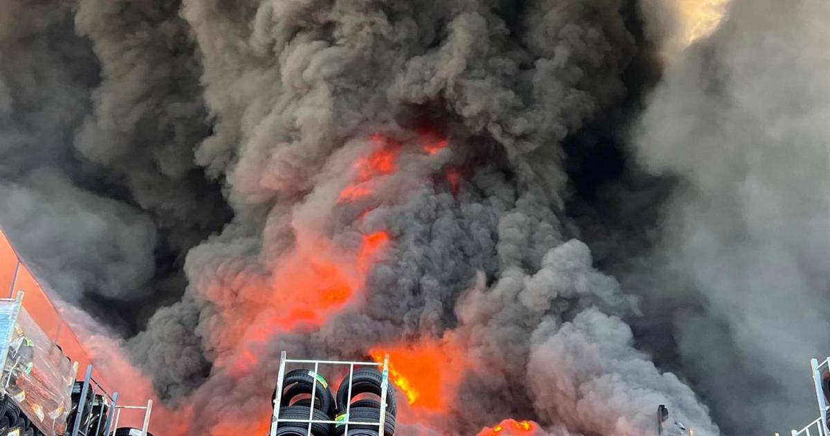 "La mia casa è scomparsa": l'incubo della guerra che devasta una piccola città a Donetsk