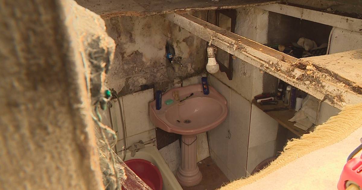 Mangelnde Hygiene, Ungeziefer und Feuchtigkeit: 81-jährige Frau lebt unter prekären Bedingungen in Santa Maria da Feira