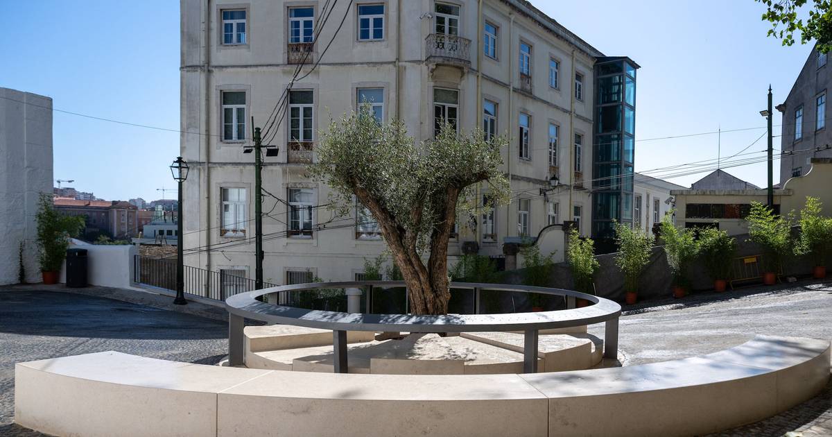 Lissabon weiht Denkmal zur Erinnerung an die Opfer des Unfalls der Glória-Standseilbahn ein