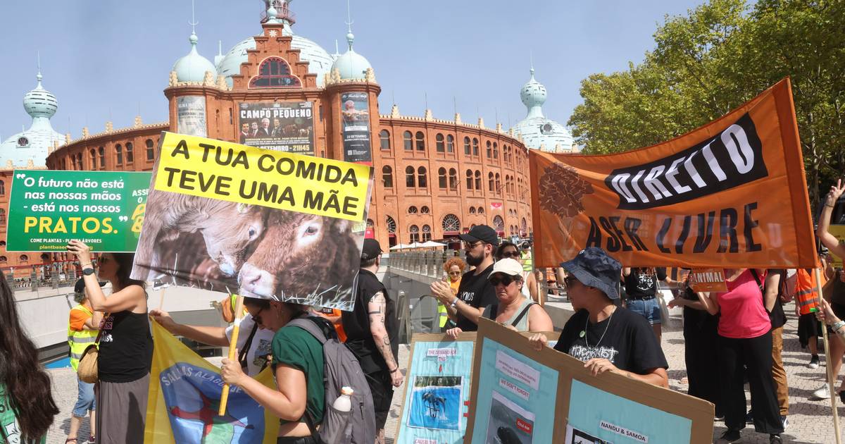 "Se tivessem de matar o animal que comem, provavelmente não o fariam": Lisboa foi palco de marcha pelos direitos de "todos os animais"