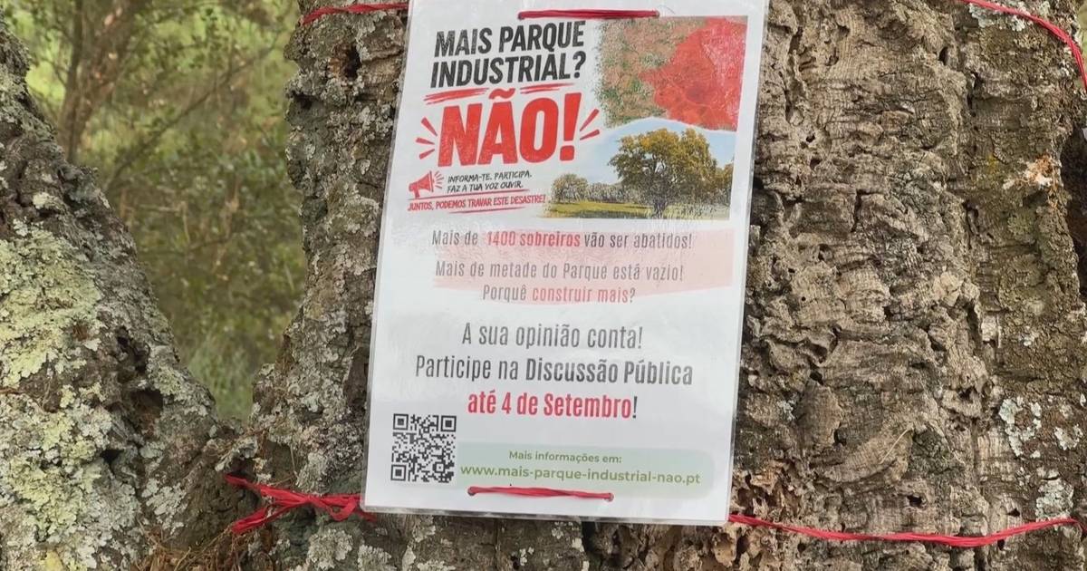 Dieci case a rischio: l'espansione del Parco Industriale a Covilhã lascia i residenti in allerta