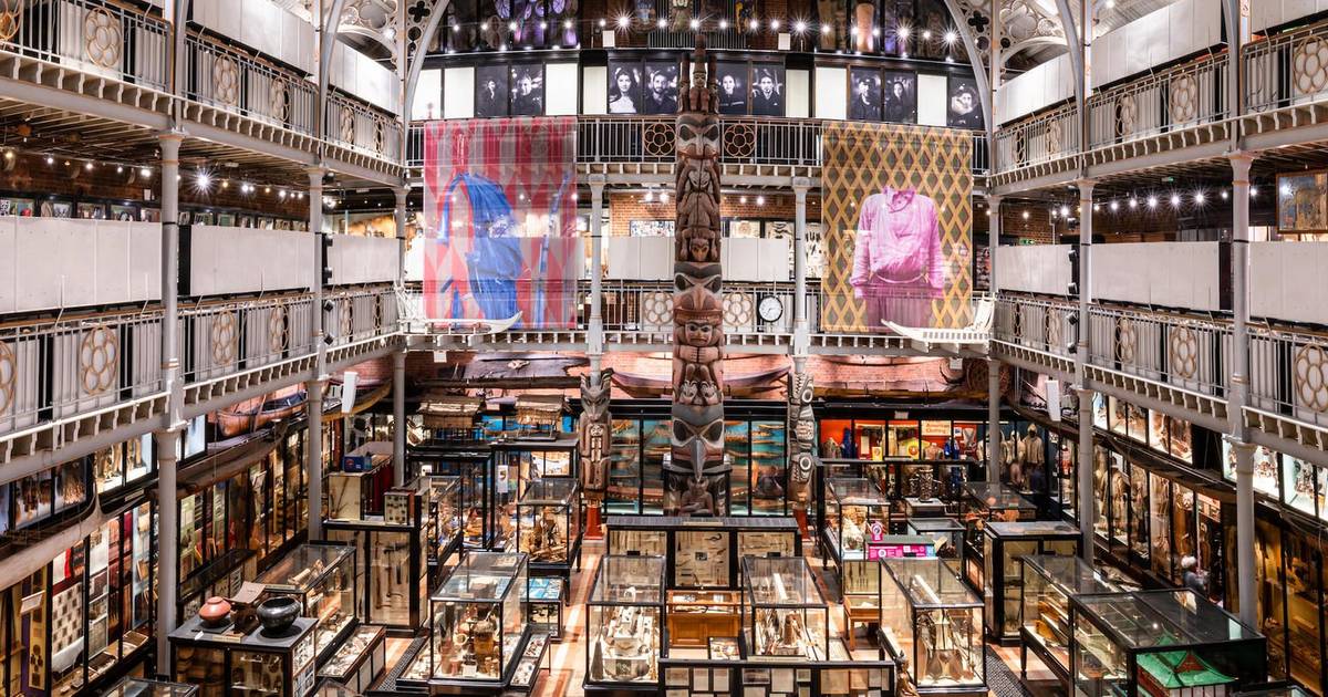 Il museo di Oxford restituirà i resti mortali di 39 persone alla comunità Naga in India