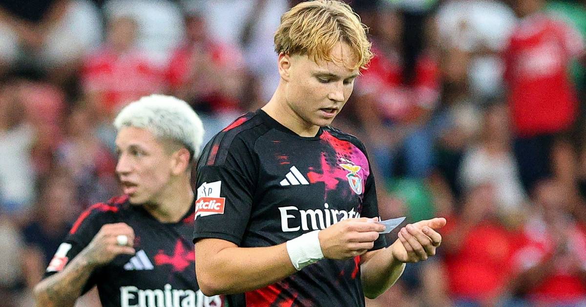 Marco Silva versichert, dass Schjelderup beim Benfica „putzmunter" ist, und bewahrt sein Vertrauen in Sudakov