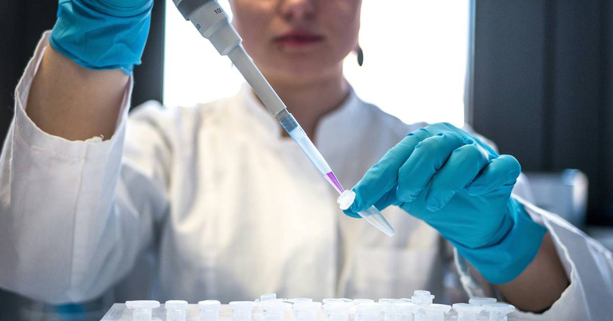 Agentur für Klinische Forschung und Biomedizinische Innovation übernimmt Koordination von zwei europäischen Netzwerken im Bereich Krebs