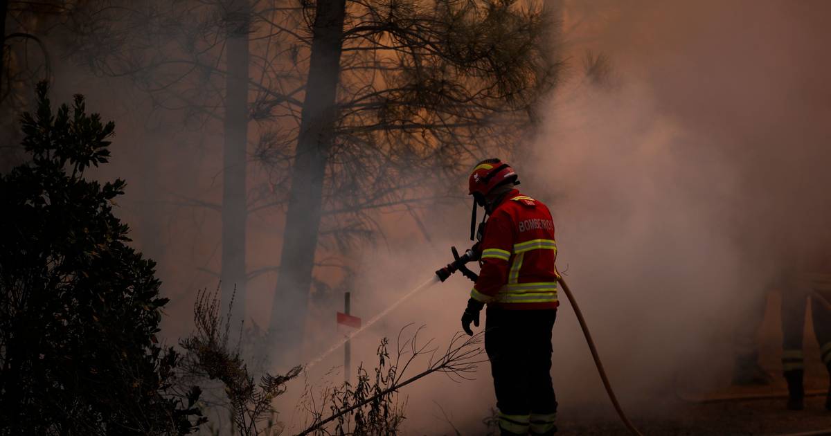 Brand in Portel: über 170 Einsatzkräfte und drei Luftmittel im Kampf gegen die Flammen