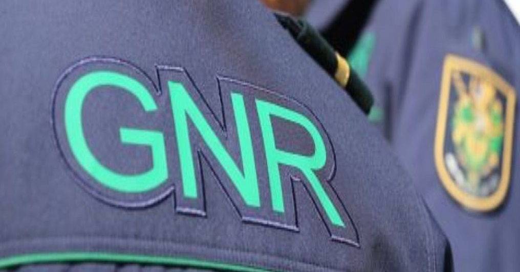 Bedbug plague forces GNR to interrupt training course