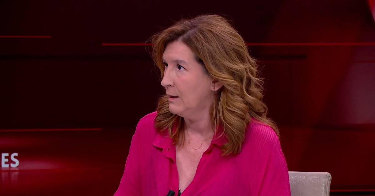 Cecília Meireles: “Tratar os senhorios como inimigo público número um não aumenta o arrendamento”