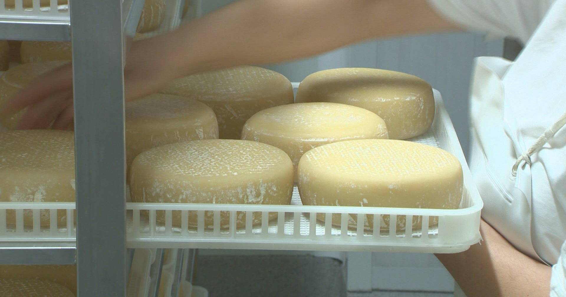 Queijo de cabra serrana produzido em Trás-os-Montes é o melhor da ...