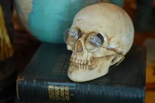 Humanos em minoria na Terra