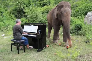 Piano para elefantes