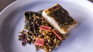 Estes são os 8 passos para o peixe perfeito, por Diogo Noronha