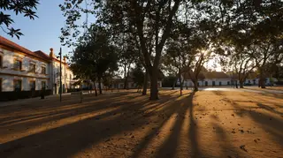 Um sítio do outro mundo — viagem ao interior da maior fábrica de porcelana do país