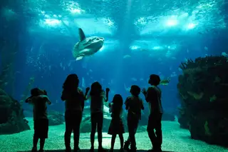 Em dias de calor, o melhor é levar as crianças para outras paragens