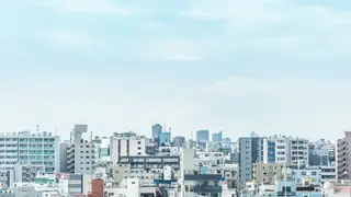 O futuro das cidades veste verde e nós já o conhecemos. Embarque connosco nesta viagem