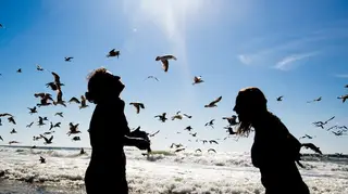 Única praia do mundo que nunca perdeu a bandeira azul é portuguesa
