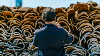 Cinco estúdios de renome mundial vão trabalhar a cortiça em Nova Iorque