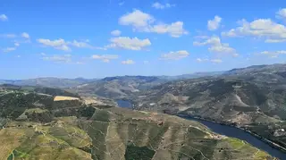 Declarada uma nova colheita de Barca Velha. É de um ano “grandioso para a região do Douro”