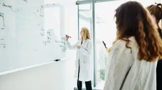 Investigadores portugueses criam método para tratar lesões agudas da pele