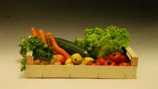 Fruta Feia já tirou duas mil toneladas do lixo. Agricultores lucraram 1M€