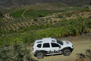 Troço onde as vinhas alternam com amendoais e olivais